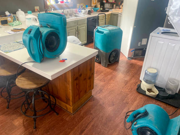 Professional Water damage restoration in Cedar Hills, OR