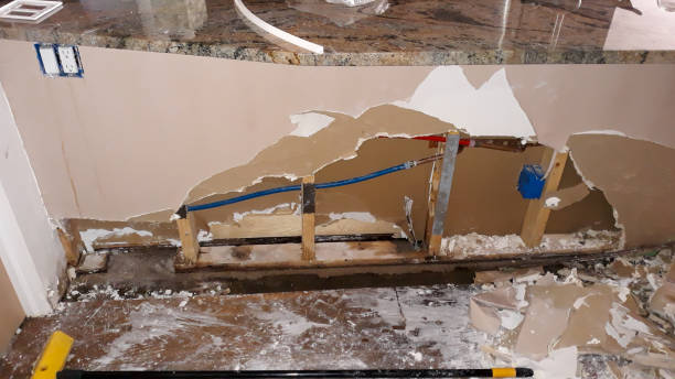 Best Water damage restoration services  in Cedar Hills, OR